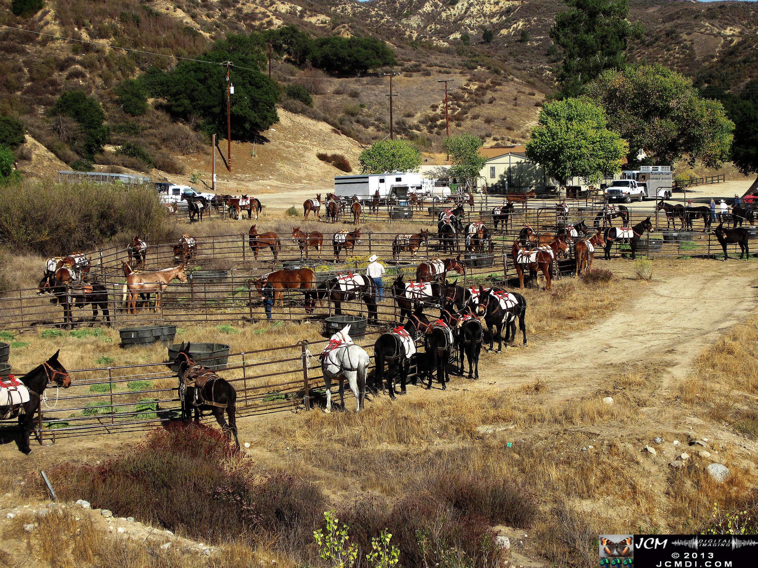 100 Mule Team at Whitney Canyon
